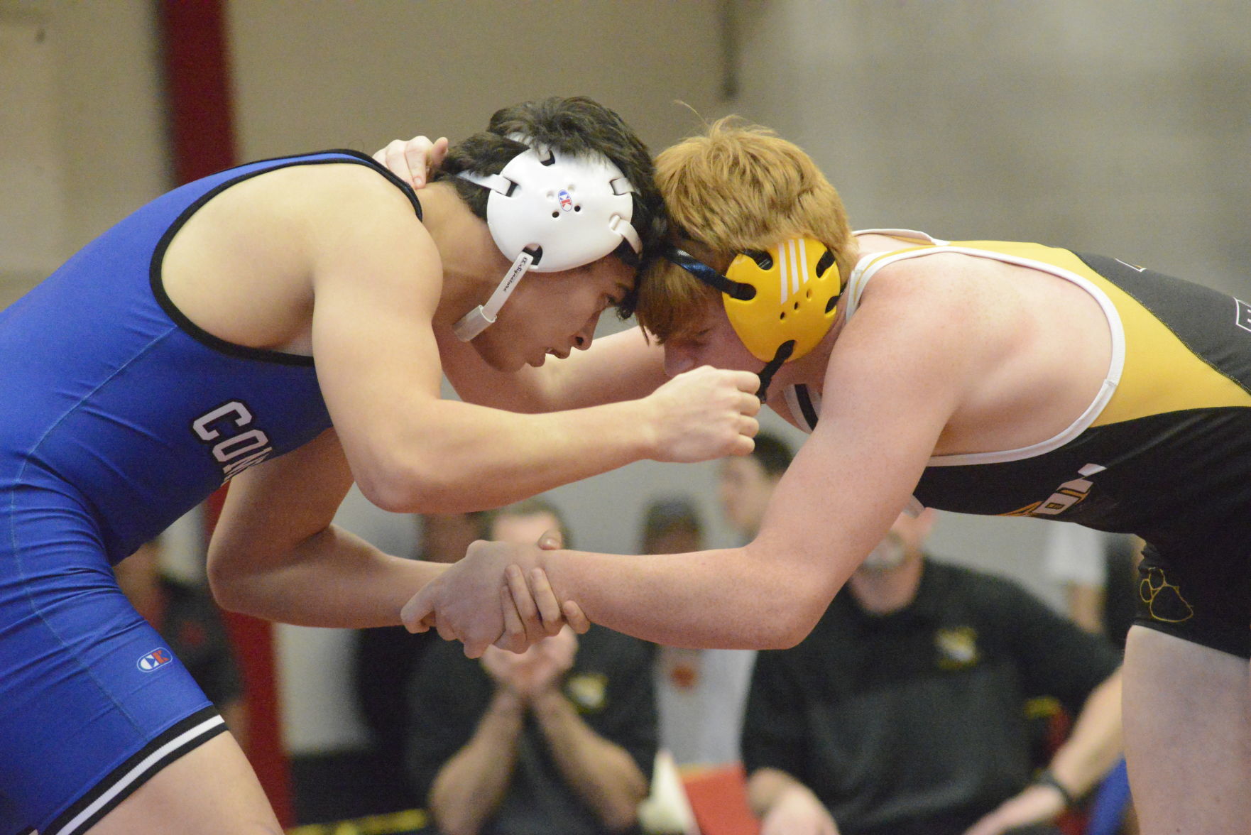 iowa sect 2a wr 1595.JPG